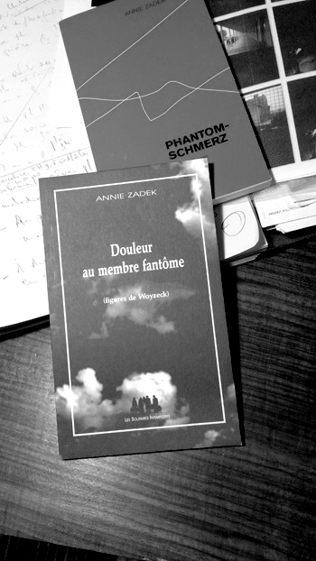 Couverture du livre d'Annie Zadek "Douleur au membre fantôme"