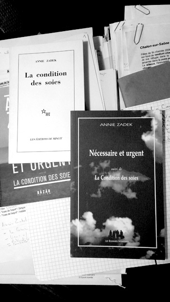 Couverture du livre d'Annie Zadek "La condition des soies"
